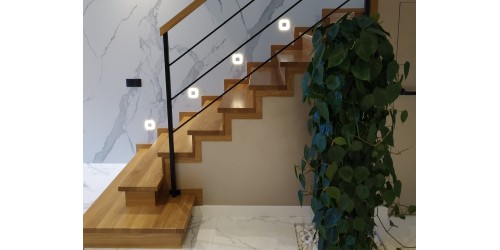 Description of design features of stairs on concrete. Comparison of advantages and disadvantages of stairs on a concrete frame