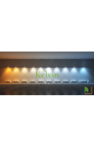 How to choose the right light?